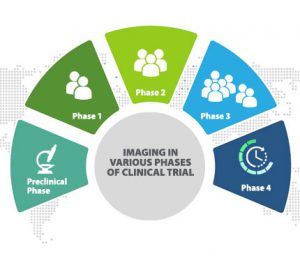Phases-in-Clinical-Trials